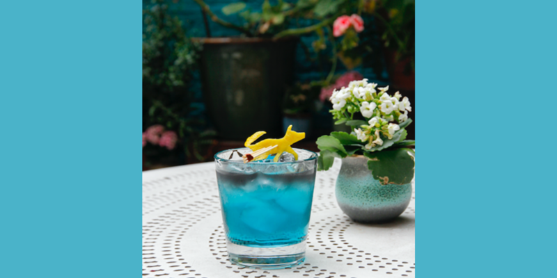 Casita Andina & The Curious Incident of the Dog In the Night-Time Cocktail Collaboration